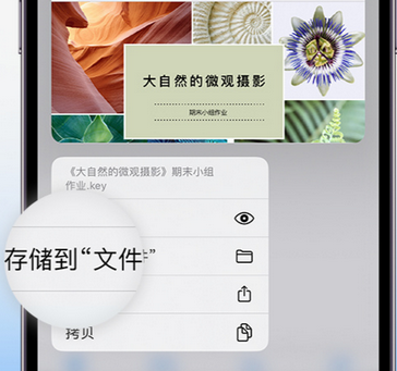 密山apple维修中心分享iPhone文件应用中存储和找到下载文件