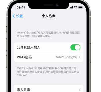 密山apple服务站点分享iPhone上个人热点丢失了怎么办 