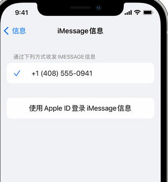 密山apple维修iPhone上无法正常发送iMessage信息 