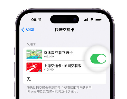 密山apple维修点分享iPhone上更换Apple Pay快捷交通卡手绘卡面 