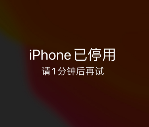 密山苹果手机维修分享:iPhone 显示“不可用”或“已停用”怎么办？还能保留数据吗？ 