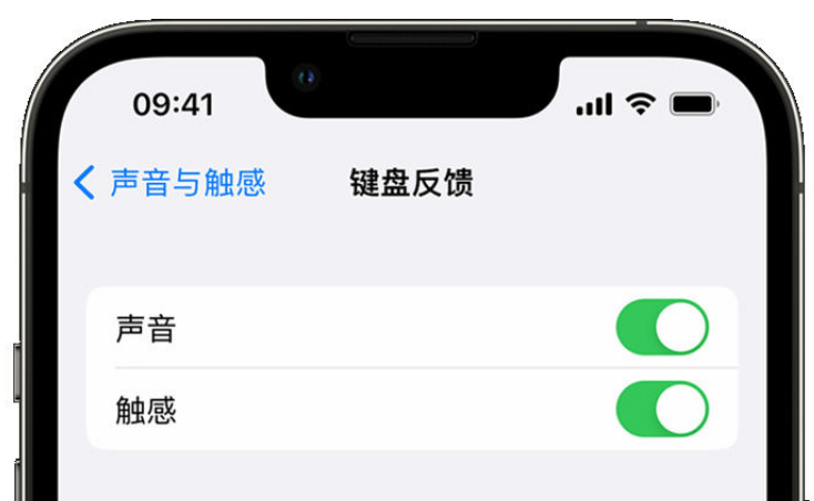 密山苹果手机维修分享iPhone 14触感键盘使用方法 