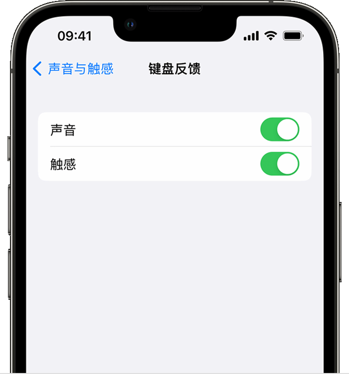 密山苹果14维修店分享如何在 iPhone 14 机型中使用触感键盘 