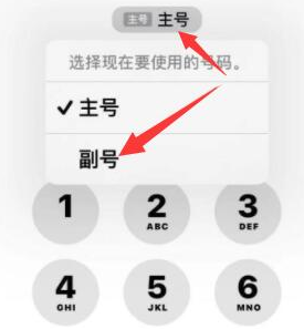 密山苹果14维修店分享iPhone 14 Pro Max使用副卡打电话的方法 