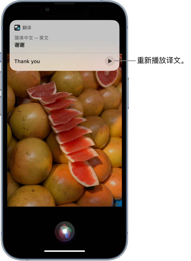 密山苹果14维修分享 iPhone 14 机型中使用 Siri：了解 Siri 能帮你做什么 