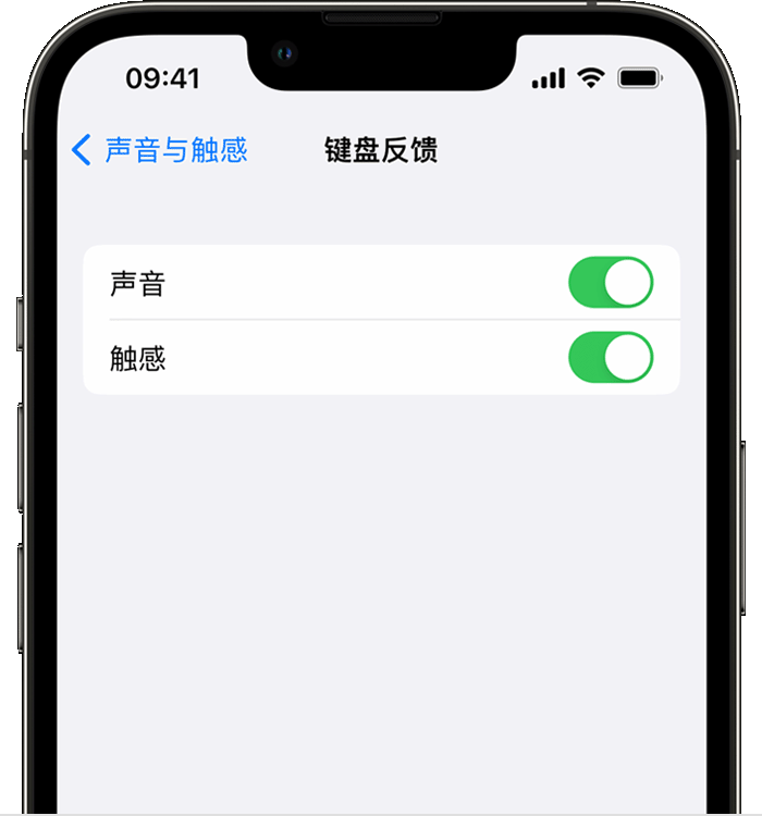 密山苹果14维修分享iPhone 14 系列机型如何开启键盘声音或触感反馈 