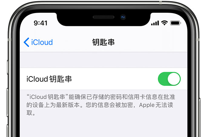 密山苹果手机维修分享在 iPhone 上开启 iCloud 钥匙串之后会储存哪些信息 