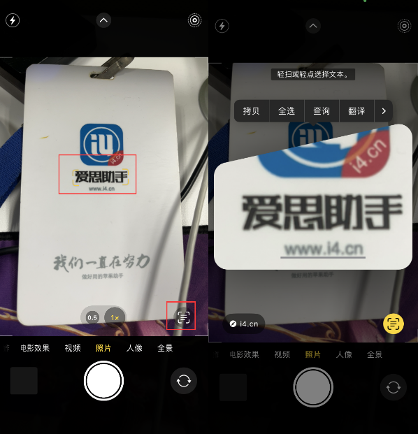 密山苹果手机维修分享升级iOS 16后如何通过相机翻译文本 