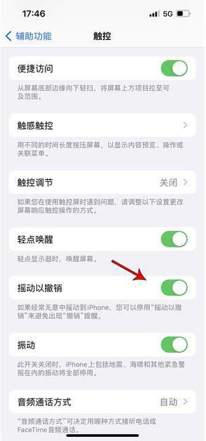 密山苹果手机维修分享iPhone手机如何设置摇一摇删除文字 