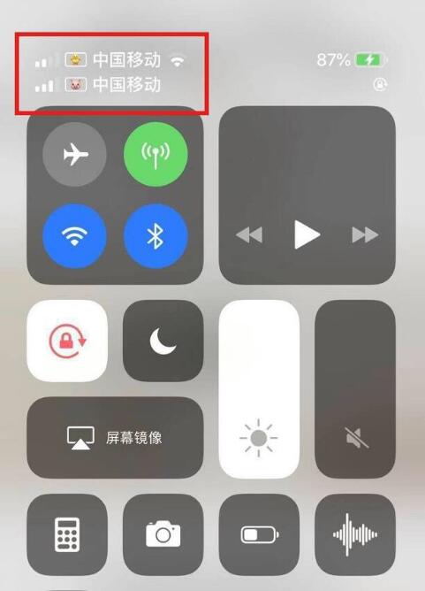 密山苹果手机维修分享为 iPhone 12 双卡设置标签 