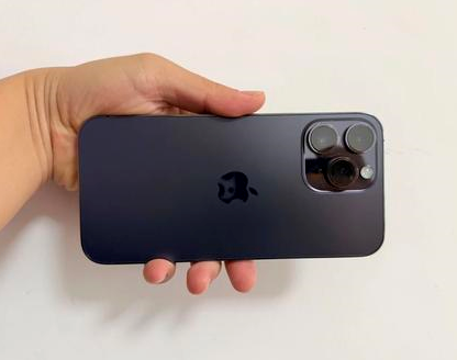 密山苹果维修点分享iPhone 14 Pro Max发烫多重诱因剖析 